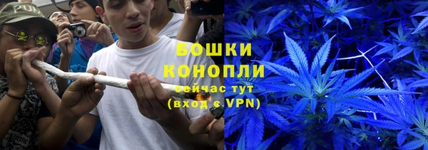ПСИЛОЦИБИНОВЫЕ ГРИБЫ Алзамай