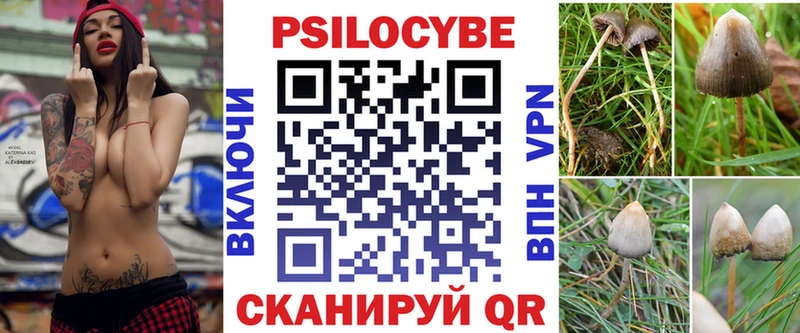 Купить закладки  Кондопога  Галлюциногенные грибы Cubensis 