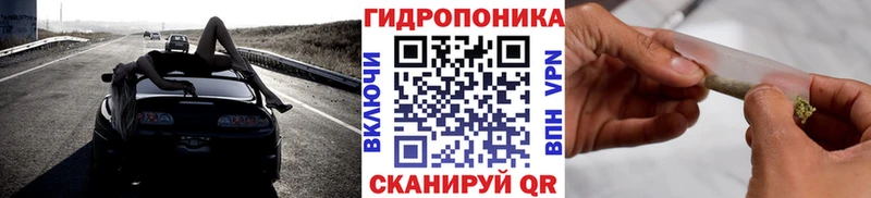 Бошки Шишки OG Kush  Купить закладки  Кондопога 